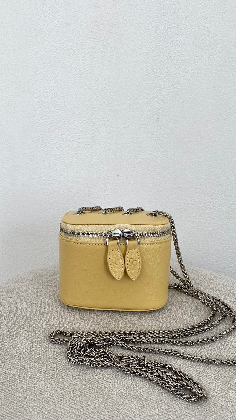Clr Yellow Mini Bag – Clear Luxury Handbag UAE