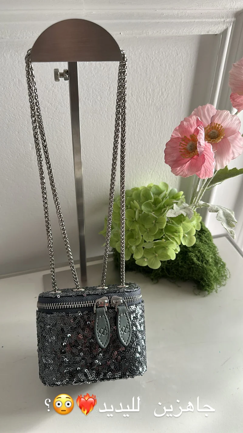 Clr Grey Mini Bag – Clear Luxury Handbag