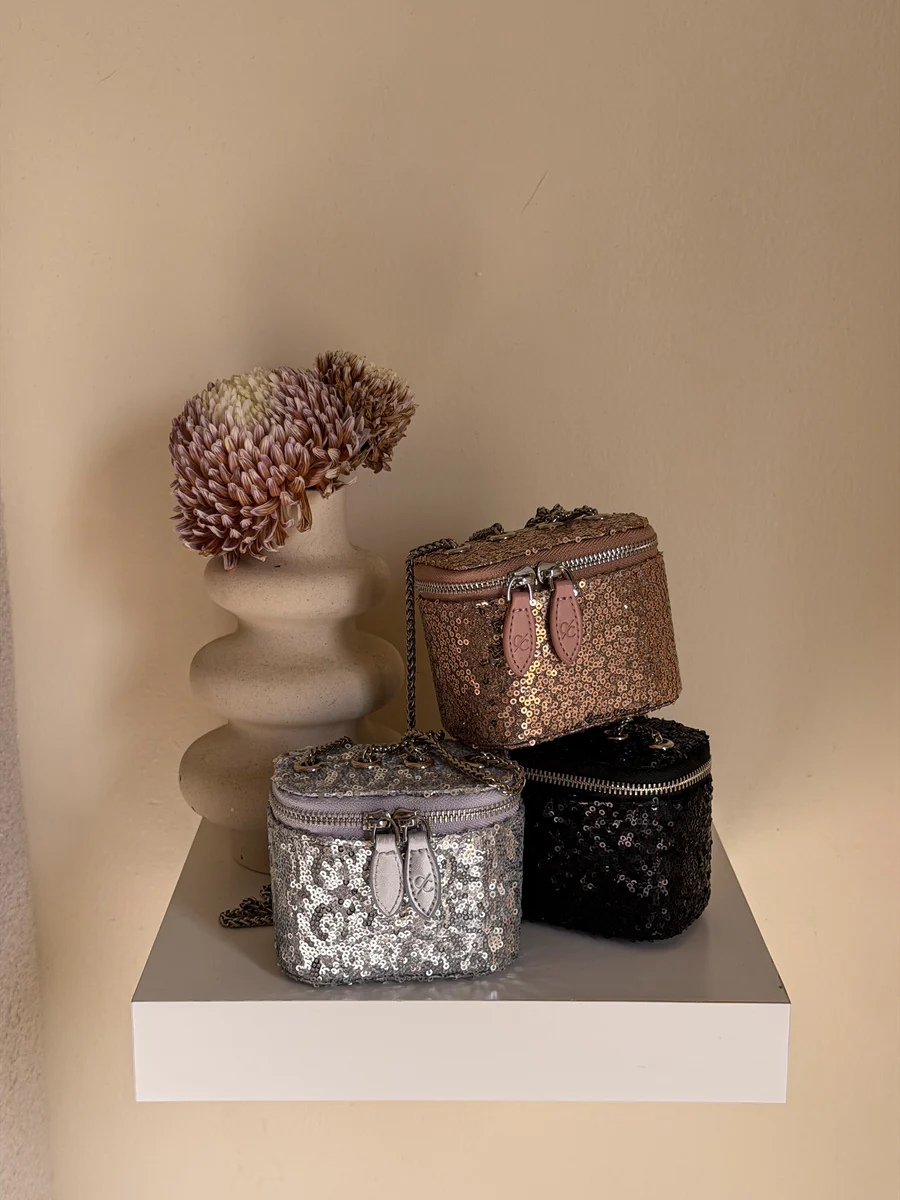Clr Silver Mini Bag