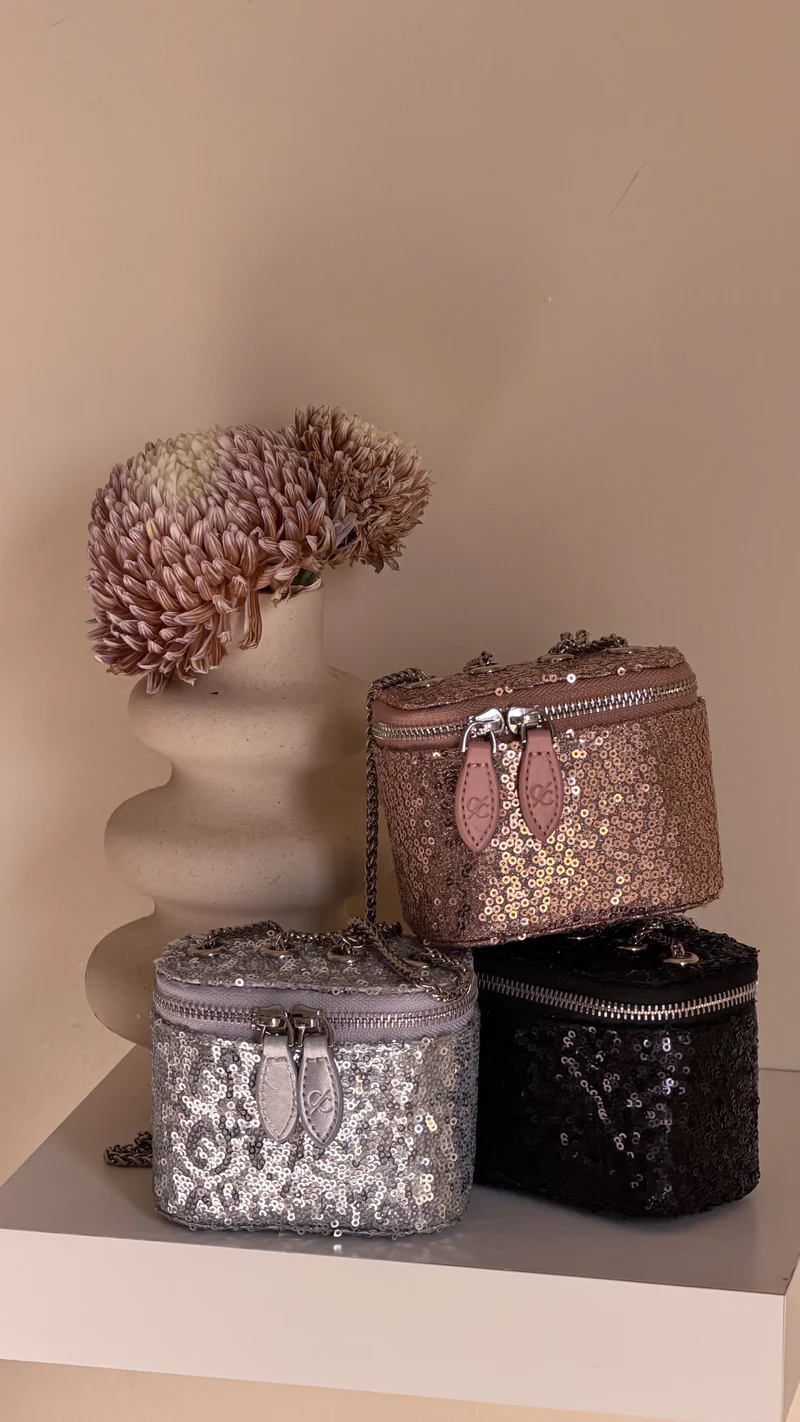 Clr Silver Mini Bag